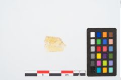 Foto von Glasrippenschale (NHMW-PRAE-025911)
